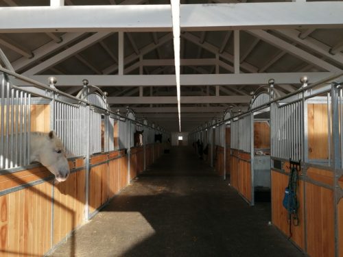 Elektrotechnik Gilschwert